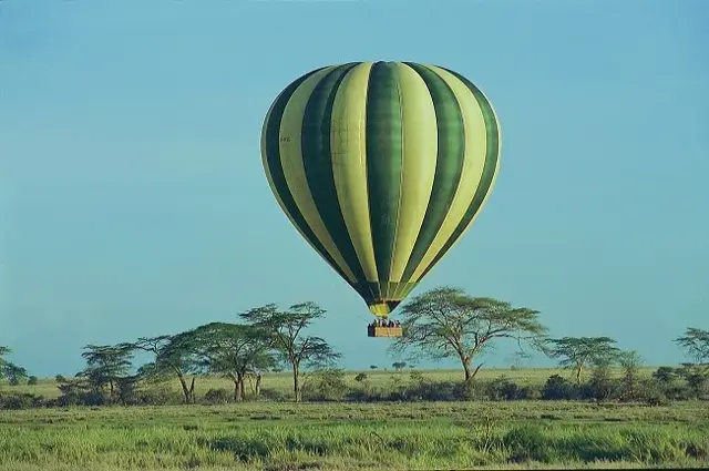 Tailor Made Holidays & Bespoke Packages for Serengeti Serena Safari Lodge